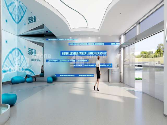 上海膜盒压力表型号